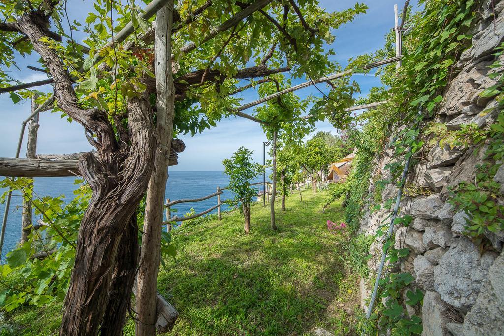Cannaverde - Amalfi Coast Camp Villa Maiori Exterior foto